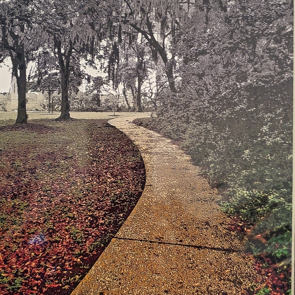 Golden Pathway - Picture 3 of 5